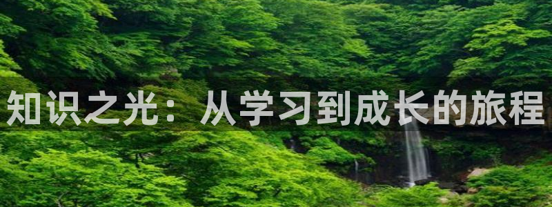 牛眼看书免费全文：知识之光：从学习到成长的旅程
